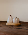 Thanksgiving White Pumpkin Salt & Pepper Shakers