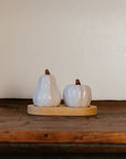 Thanksgiving White Pumpkin Salt & Pepper Shakers