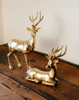 Golden Finish Reindeer Figurines
